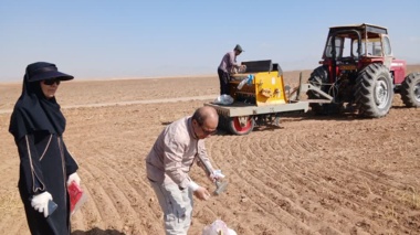 عملیات کاشت گندم در سال دوم اجرای پروژه در روستای نجف  آباد آشتیان