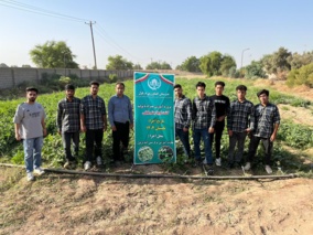برداشت موفقیتآمیز پروژه آموزش همراه با تولید لوبیاچشمبلبلی در تابستان ۱۴۰۴
