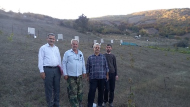 مه، منبعی نو برای آبیاری فندقستانهای کوهستانی گیلان