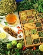 دوره تخصصی «فرصتهای سرمایهگذاری در صنعت گیاهان دارویی»