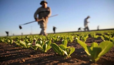 نهمین کاروان ترویج بهرهوری گامی بهسوی الگوی سازگار با تغییر اقلیم در کشت محصولات زراعی