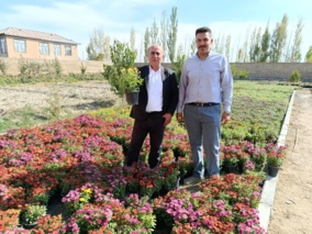 بازدید کارشناسان بخش ثبت و گواهی بذر و نهال از محموله‌های صادراتی نهال آذربایجان غربی