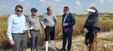 بازدید قائم‌مقام معاونت پژوهشی سازمان تات از طرح‌های تحقیقاتی سویا در ایستگاه گرگان