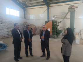 بذر سالم، رکن اساسی در تحقق امنیت غذایی کشور