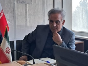 برای نجات بلوط‌های زاگرس باید به سراغ ارقام مقاوم برویم