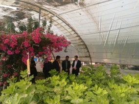 بازدید مسئولان آموزش و پرورش استان سمنان از طرح «آموزش همراه با تولید – پرورش نهال انجیر» در هنرستان شهید سلیمانی آرادان