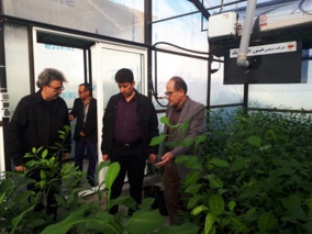بازدید معاون مدیرکل دفتر میوه‌ های گرمسیری و نیمه‌گرمسیری وزارت جهاد کشاورزی و هیأت همراه از پژوهشکده مرکبات و میوه‌های نیمه‌گرمسیری