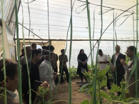 کارگاه آموزشی ترویجی مدیریت بیماری‌های محصولات گلخانه‌ای