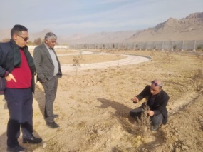 توسعه فضای سبز پایدار در فرخشهر با همکاری شهرداری و مرکز تحقیقات منابع طبیعی