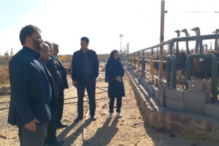 بازدید رئیس مؤسسه از ایستگاه تحقیقات علوم دامی شهید رضوی