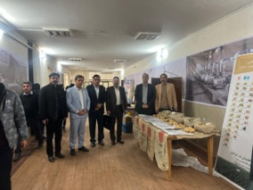 ارائه توانمندی‌های مرکز تحقیقات در تولید مینی‌تیوبر سیب‌زمینی به استاندار ایلام همزمان با روز جهانی خاک