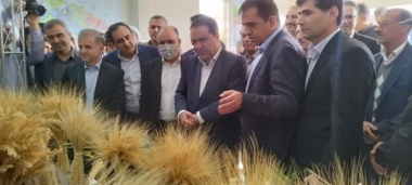 افتتاح غرفه دستاوردهای مرکز تحقیقات و آموزش کشاورزی به مناسبت هفته پژوهش با حضور استاندار