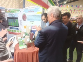 رونمایی از ۶ رقم جدید لوبیای معرفی شده توسط پردیس تحقیقات و آموزش لوبیای خمین