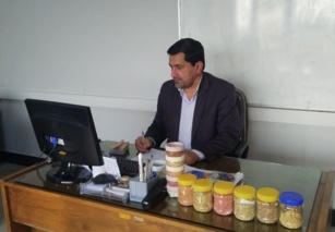 دوره تخصصی شناسایی ارقام گندم و جو