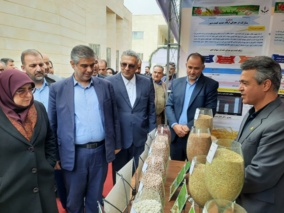 بازدید سخنگوی دولت و استاندار مرکزی از غرفه مرکز