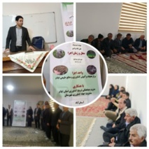 تأکید بر آمیخته‌گری هدفمند در دام سبک