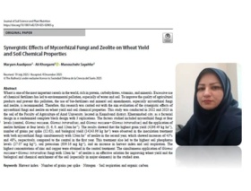 چاپ مقاله با عنوان: «اثرات متقابل قارچ‌های میکوریزا و زئولیت بر عملکرد گندم و ویژگی‌های شیمیایی خاک»  (Synergistic Effects of Mycorrhizal Fungi and Zeolite on Wheat Yield and Soil Chemical Properties)