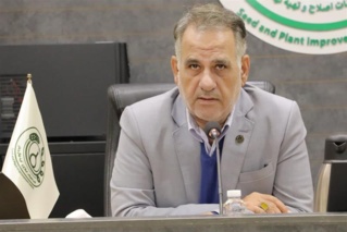 جانبازی یک عنوان نیست، بلکه مسیری از ایمان، مسئولیت‌پذیری و فداکاری است