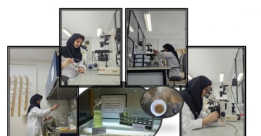 دستیابی به فناوری تکثیر میکروجلبک‌های بومی گیلان