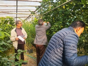 بازدید محققین و کارشناسان موسسه تحقیقات ثبت و گواهی بذر و نهال از پژوهشکده مرکبات و میوه‌های نیمه‌گرمسیری