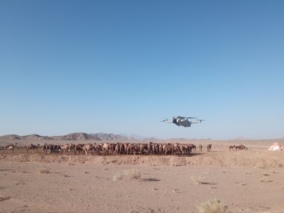 قابلیت شمارش شتر با پرنده هدایت پذیر