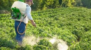 ارزیابی احتمال خطر آفت‌کش‌ها در کشاورزی رویکردی علمی برای کاهش مخاطرات بهداشتی و زیست‌محیطی و حرکت به سوی کاربرد آفت‌کش‌های کم‌خطر