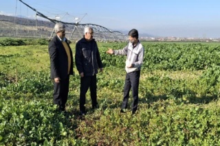 بازدید رئیس موسسه تحقیقات علوم دامی کشور از ایستگاه گاودشت