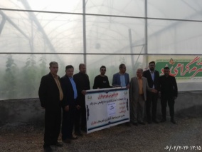 انتقال دانش فنی به سبزی و صیفی‌کاران با هدف افزایش بهره‌وری و پایداری تولید