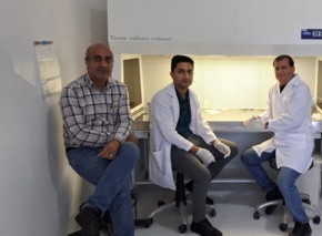 بازدید رئیس آزمایشگاه کشت بافت پژوهشگاه بیوتکنولوژی از آزمایشگاه کشت بافت مرکز جنوب کرمان