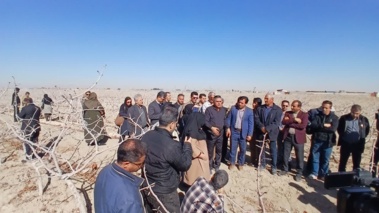 دوره آموزشی مدیریت باغات پسته