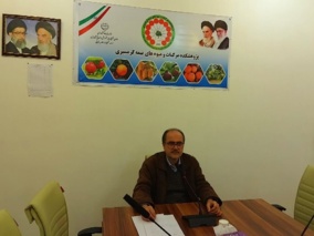 رویداد تخصصی تنش یخبندان در میوه‌های نیمه‌گرمسیری در پژوهشکده مرکبات و میوه‌های نیمه‌گرمسیری