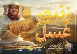 استارت بهاره زنبورعسل از دمای ۱۵ درجه آغاز شود/ تغذیه تحریکی و مدیریت بیماری‌ها کلید موفقیت زنبورداری در بهار