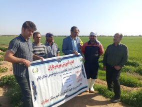 برگزاری دوره آموزشی مدیریت تلفیقی آفات، بیماری‌ها و علف‌های هرز گندم در دهلران