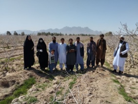 برگزاری دوره آموزشی تغذیه باغات پسته در خاش