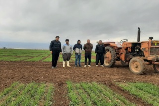 بررسی فعالیت‌های پژوهشی و تولیدی در ایستگاه تحقیقات کشاورزی ماهیدشت