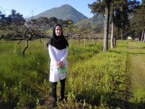 عضو هیات علمی پژوهشکده مرکبات و میوه‌های نیمه‌گرمسیری: مدیریت تغذیه، یکی از عوامل تعیین‌کننده کیفیت و بازارپسندی میوه کیوی