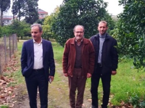 بازدید رئیس موسسه تحقیقات علوم باغبانی از ایستگاه های تحقیقات مرکبات خرم آباد و ایستگاه تحقیقات مرکبات شهید یاسینی کترا