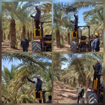 با وجود شرایط ویژه دبا وجود شرایط ویژه در کشور و تهدیدات موجود ناشی از جنگ تحمیلی، فعالیت های پژوهشی پژوهشکده خرما و میوه های گرمسیری با تلاش‌ مضاعف اعضای هیئت علمی و محققان، بدون وقفه و طبق برنامه ریزی مشخص ادامه دارد