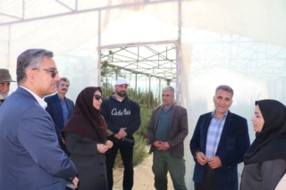 نشست تخصصی طراحی فضای سبز تاب‌آور در ایوانکی با محوریت مقابله با کم‌آبی و آلودگی هوا برگزار شد