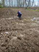 پایداری و نوآوری در دل چالش‌ها