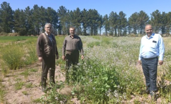 بازدید رئیس مرکز تحقیقات کشاورزی استان کرمان از ایستگاه تحقیقات شهید زنده روح جوپار