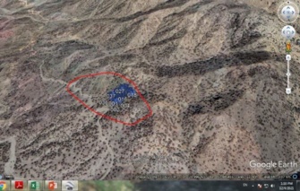 نتایج فاز اول طرح «سنجش و پایش ساختار توده‌های جنگلی» در استان کرمان