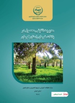 نشریه «مدیریت تلفیقی خرما» در کرمان منتشر شد؛ راهکاری برای توسعه پایدار نخلستان‌ها