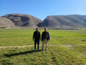 بازدید علمی از پایگاه نوآوری شهرستان ایوان در راستای طرح پایداری تولید؛ گام مؤثر در به‌کارگیری یافته‌های پژوهشی در مزارع کشاورزان