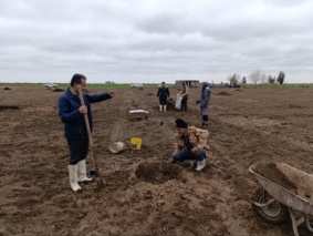 عملیات غرس نهال درختان مثمر و سم پاشی مزارع در ایستگاه تحقیقات شوری آق‌قلا