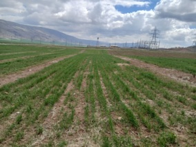 بازدید میدانی از پایگاه نوآوری چرداول پس از بارندگی‌های سیل‌آسا