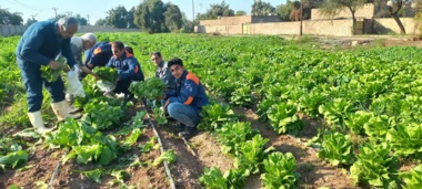 اتمام موفقیت‌آمیز پروژه آموزش همراه با تولید در هنرستان کشاورزی دزفول