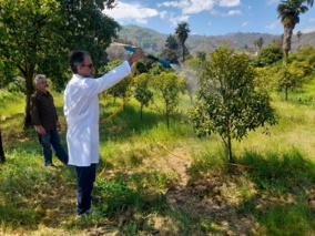 اجرای پروژه آزمایش کنه‌کش بیولوژیک جدید برای کنترل کنه قرمز مرکبات در پژوهشکده مرکبات و میوه‌ های نیمه‌ گرمسیری