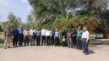 انتقال‌یافته‌های تحقیقاتی افزایش پتانسیل عملکرد گندم در زمان برداشت