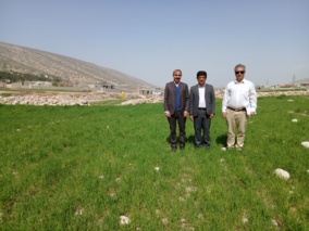 پایگاه نوآوری دیم ایوان؛ راهبردی برای خودکفایی و تاب‌آوری کشاورزان منطقه